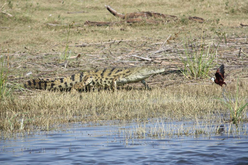 Elephant Lake Hotel Saint Lucia Estuary Esterno foto