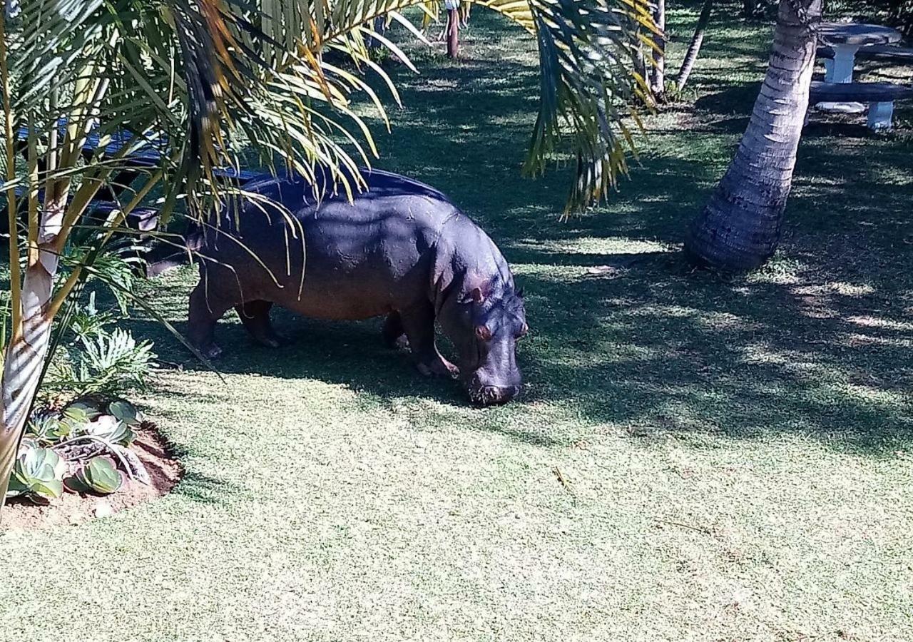 Elephant Lake Hotel Saint Lucia Estuary Esterno foto