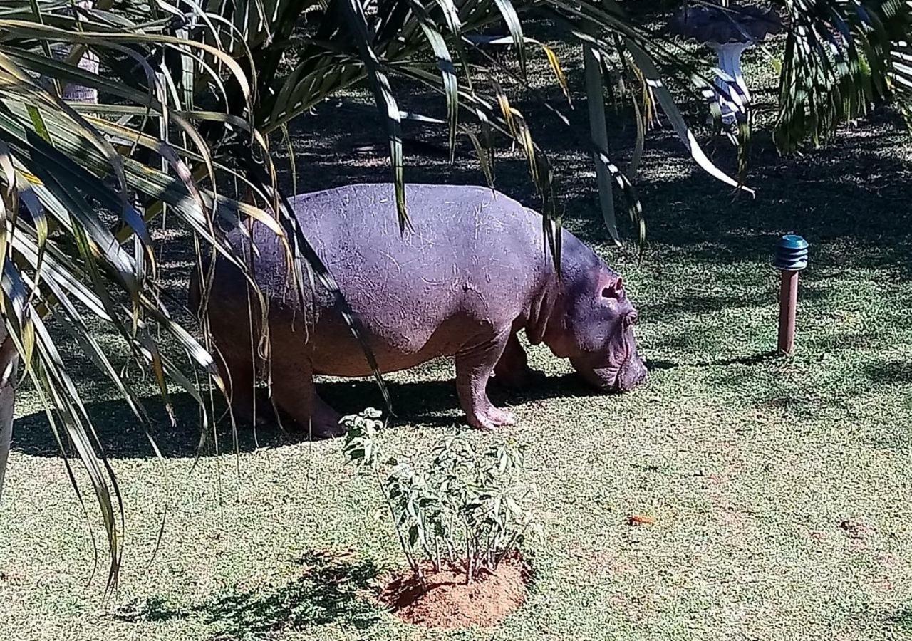 Elephant Lake Hotel Saint Lucia Estuary Esterno foto